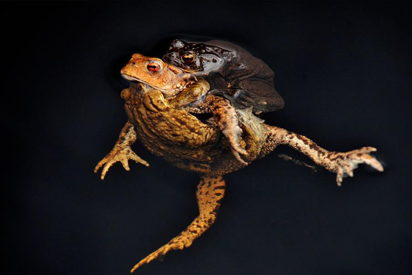 Den ultimate filterguiden